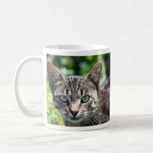 Mug Chat gris de rayure avec les yeux verts