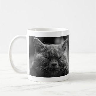 Mug Chat gris faisant une sieste