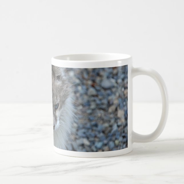 Mug Chat kitty gris et blanc (Droite)