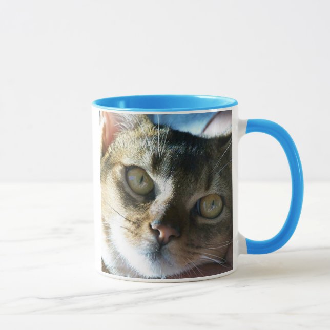 Mug Chat mâle bleu abyssin (Droite)