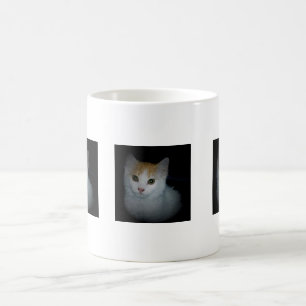 Mug Chat n° 4, Musique
