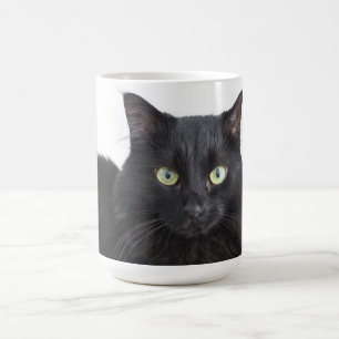Mug Chat noir