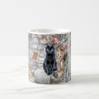 Mug Chat noir assis à l'extérieur