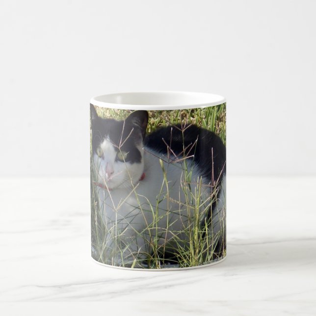 Mug Chat Noir Et Blanc Dans Le Jardin, (Centre)