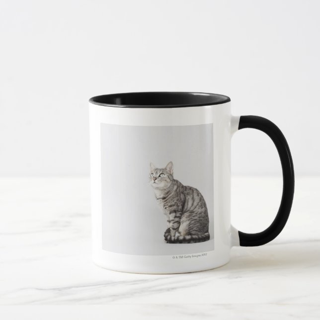 Mug Chat recherchant (Droite)