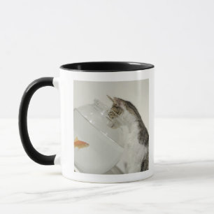 Mug Chat regardant des poissons dans le bocal à