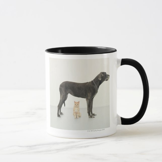 Mug Chat se reposant sous great dane (Droite)