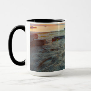 Mug Chat se reposant sur une plage