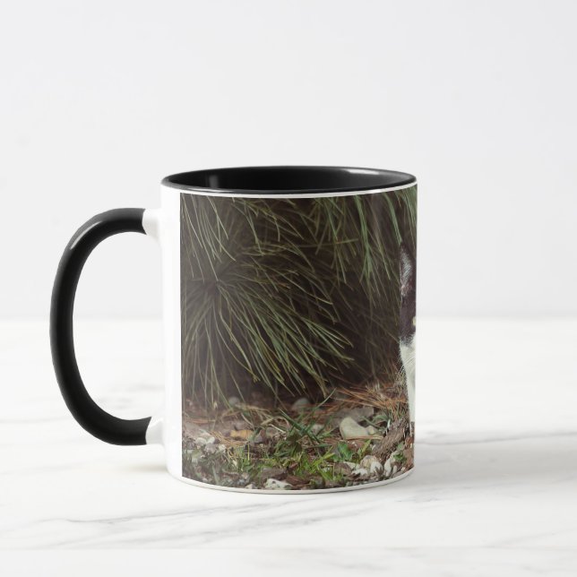 Mug Chat Shorthair - Musique (Gauche)