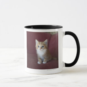 Mug Chat sur le sofa