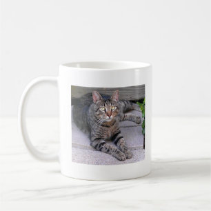 Mug Chat tigré Brown dehors