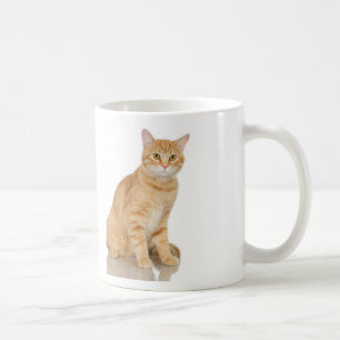 Mug Chat tigré de gingembre
