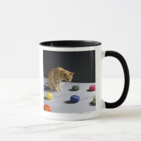 Chat tigré de gingembre se reposant sur la table
