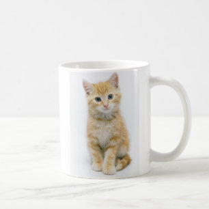 Mug Chat tigré d'orange douce
