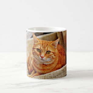 Mug Chat tigré orange