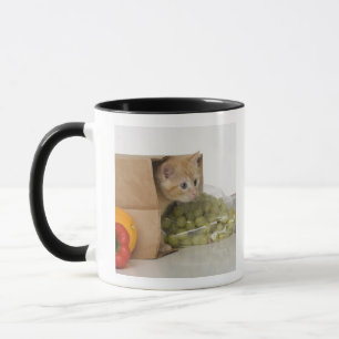 Mug Chaton à l'intérieur de sac d'épicerie