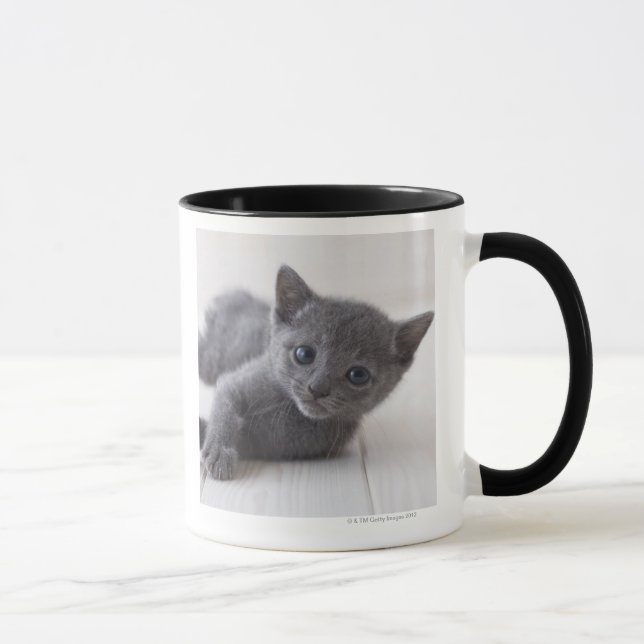 Mug Chaton bleu russe (Droite)