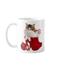 Chaton dans des chaussures de Noël