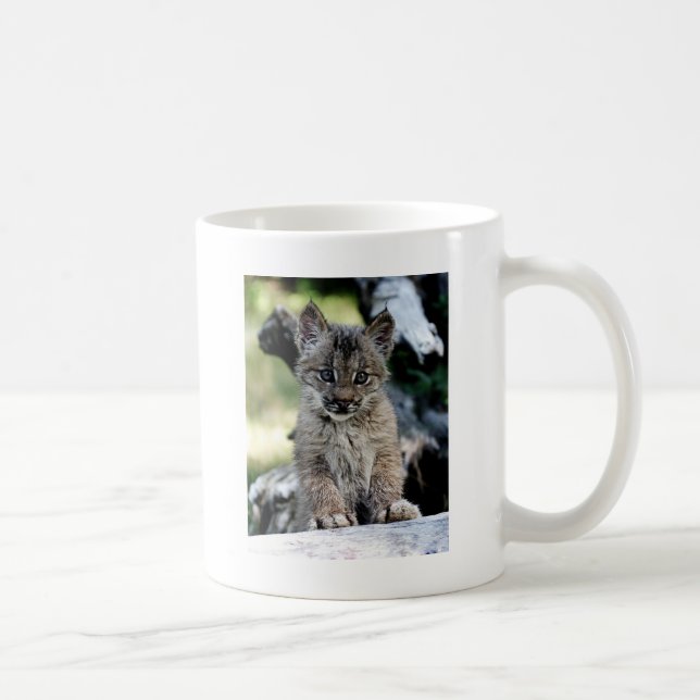 Mug Chaton de Lynx de Canadien (Droite)