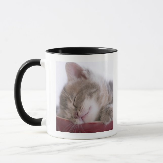 Mug Chaton dormant dans la cuvette 2 (Gauche)