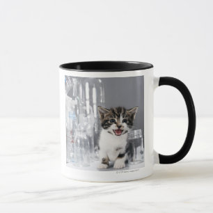 Mug Chaton parmi les bouteilles et les pots réutilis