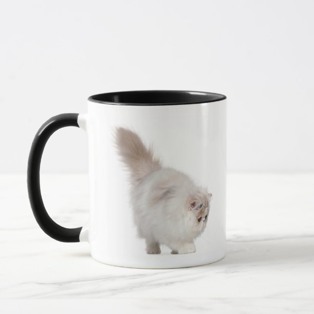 Mug Chaton persan (3 mois) (Gauche)