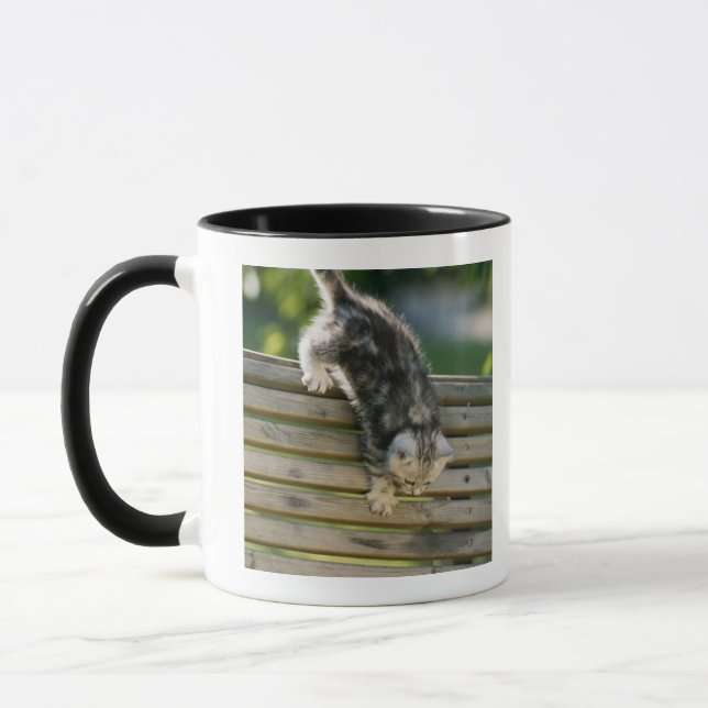 Mug Chaton se déplaçant vers le bas sur le banc (Gauche)