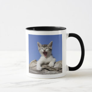 Mug Chaton se trouvant sur le rondin, baîllant, plan