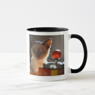 Mug Chaton siamois