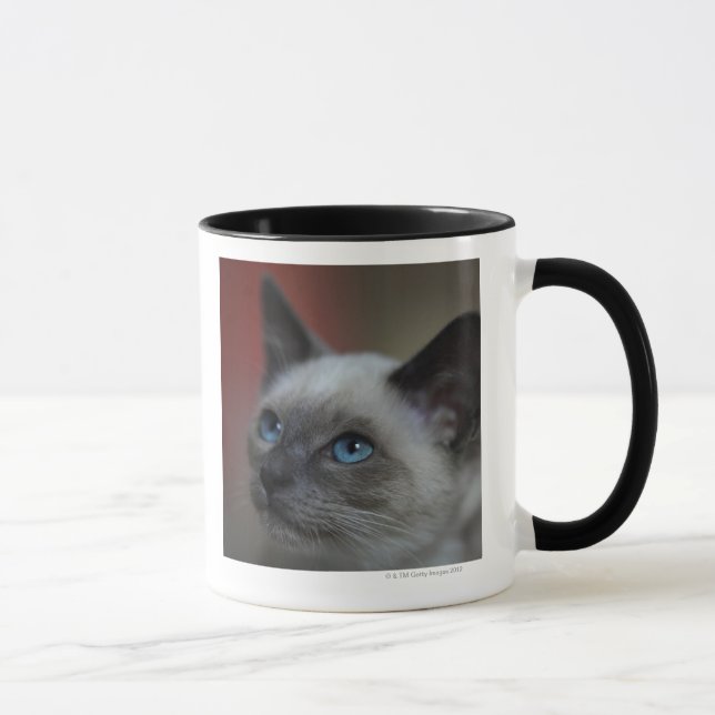 Mug Chaton siamois (Droite)