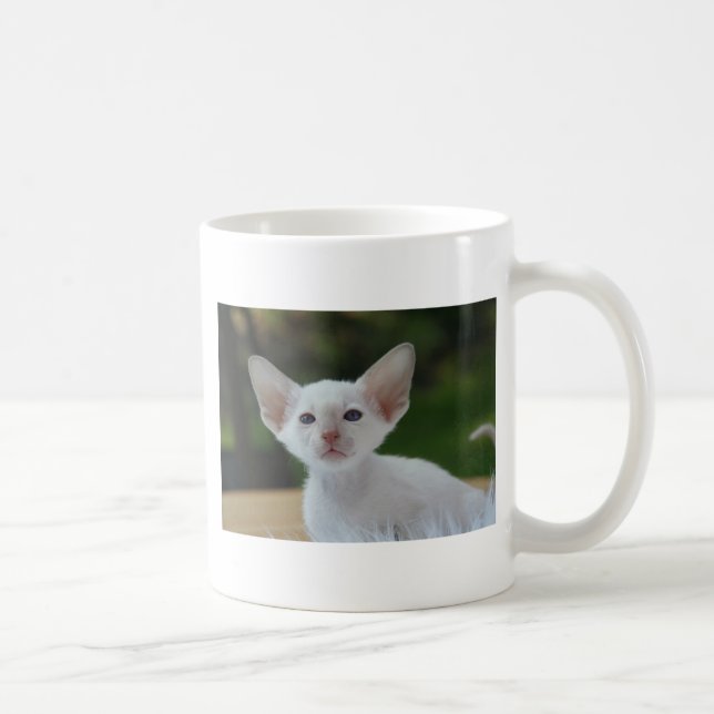 Mug Chaton siamois super mignon (Droite)