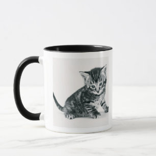 Mug Chaton tigré