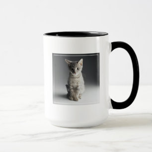 Mug Chaton tigré bleu