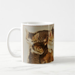 Mug Chatons dans la photo de repos original