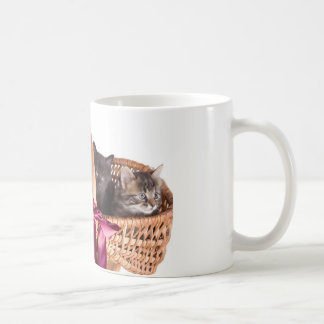 Mug chatons dans un panier en osier