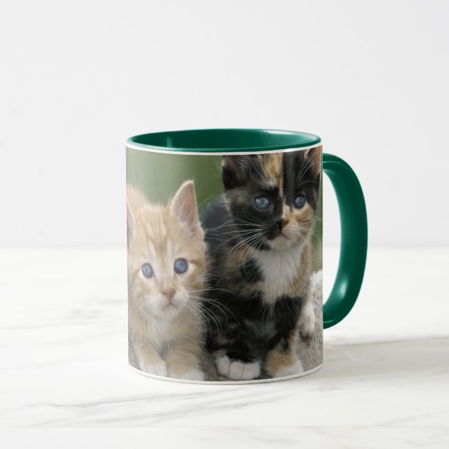 Mug Chatons de grange sur une couverture de cheval (Devant droit)
