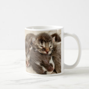 Mug Chatons dormant