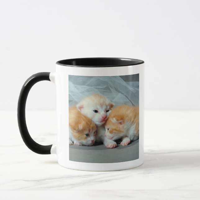 Mug Chatons oranges de fourrure (Gauche)
