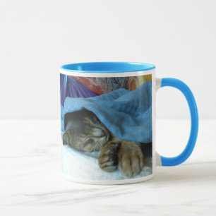 Mug Chats abyssiniques