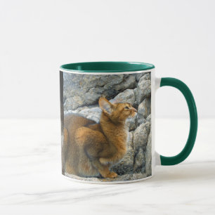 Mug Chats abyssiniques