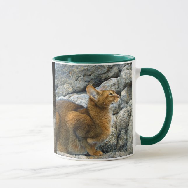 Mug Chats abyssiniques (Droite)