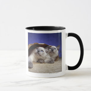 Mug Chats dans le sac de papier