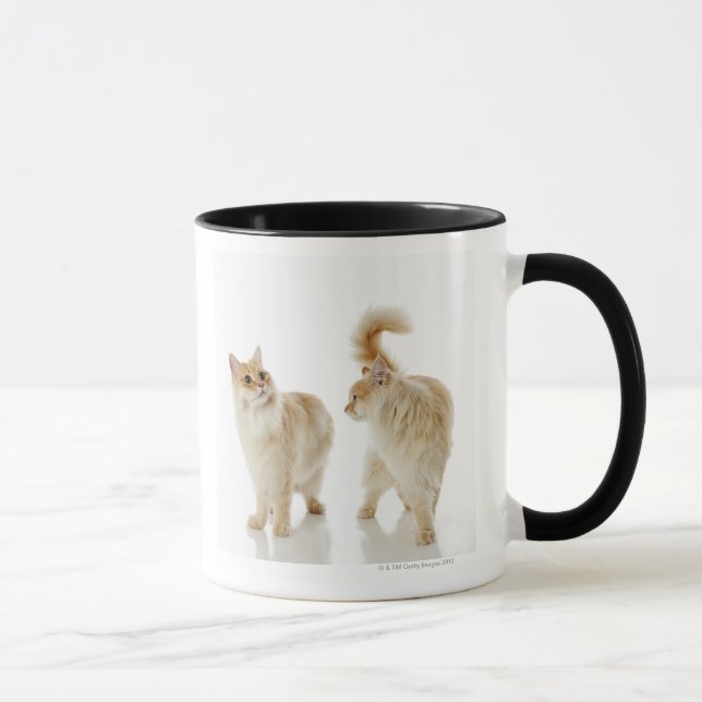 Mug Chats de Munchkin (Droite)