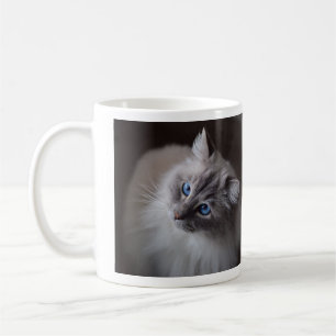 Mug Chatte de Ragdoll