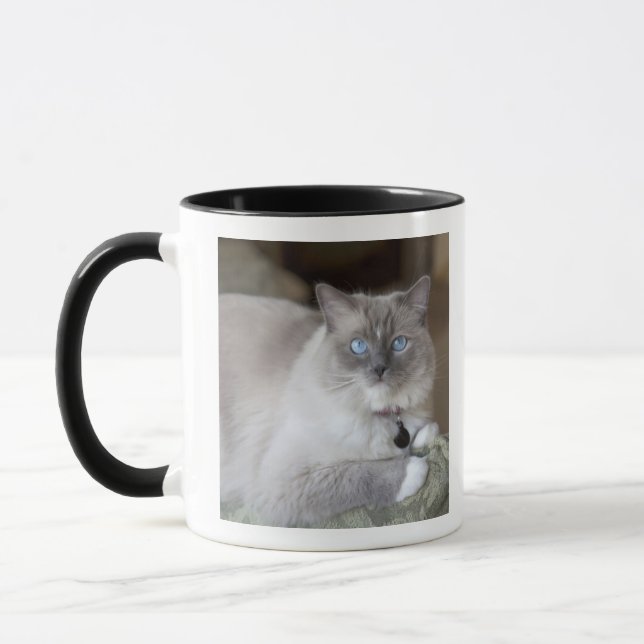 Mug Chatte Ragdoll (Gauche)