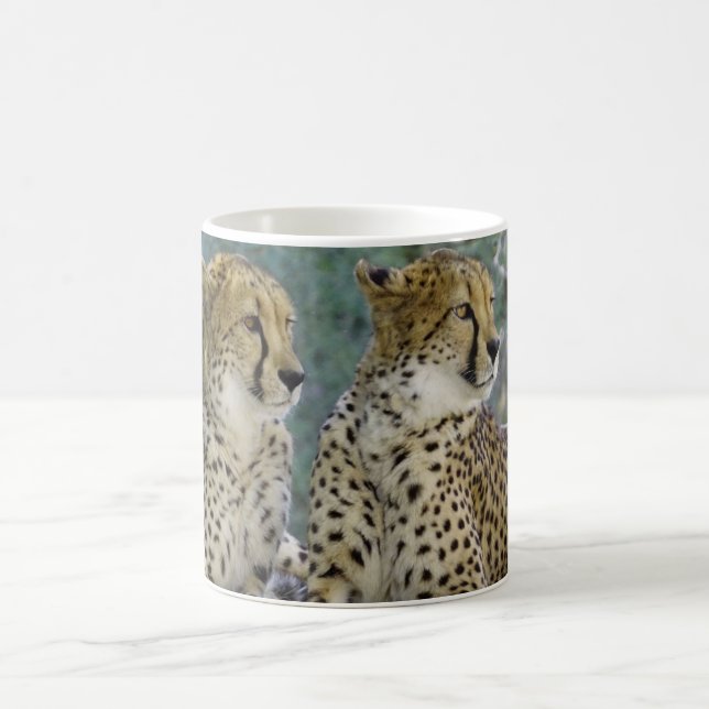 Mug Cheetah  (Centre)