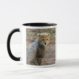Mug Cheetah Cub Acinonyx Jubatus)
