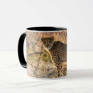 Mug Cheetah regarde autour de lui