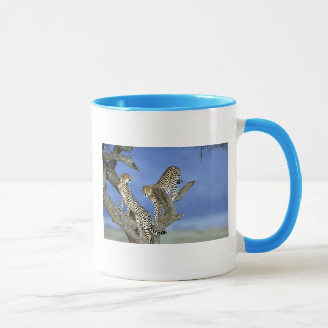 Mug Cheetahs (Droite)