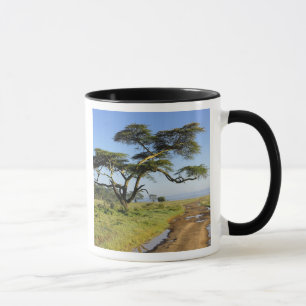 Mug Chemin de terre et acacia, lac Nakuru
